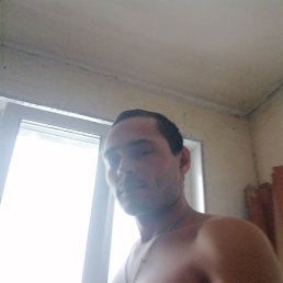 , , 31 