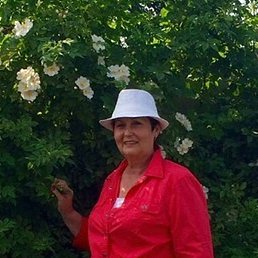 �������, ������, 66 ���