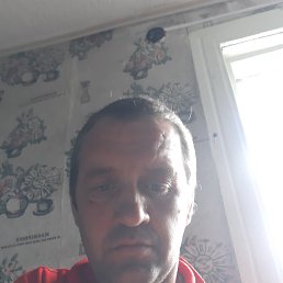 ����, 47 ���, �����������