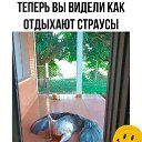 ���� �, ������ - ��������� 23 ������� 2026 � ������ ������ ��������