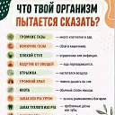 ���� ������, ������, 62 ���� - ��������� 16 ������� 2026 � ������ ������ ��������