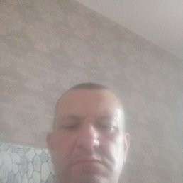 , 40, 