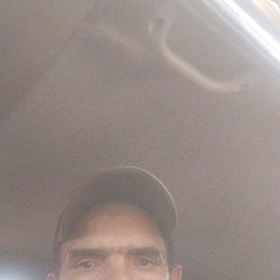, 41,  