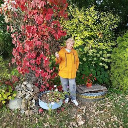 ������, ������, 62 ����