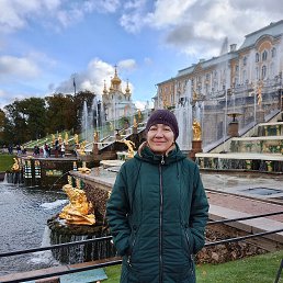 ���� �����, �����-���������, 56 ��� - ��������� 20 ������ 2023