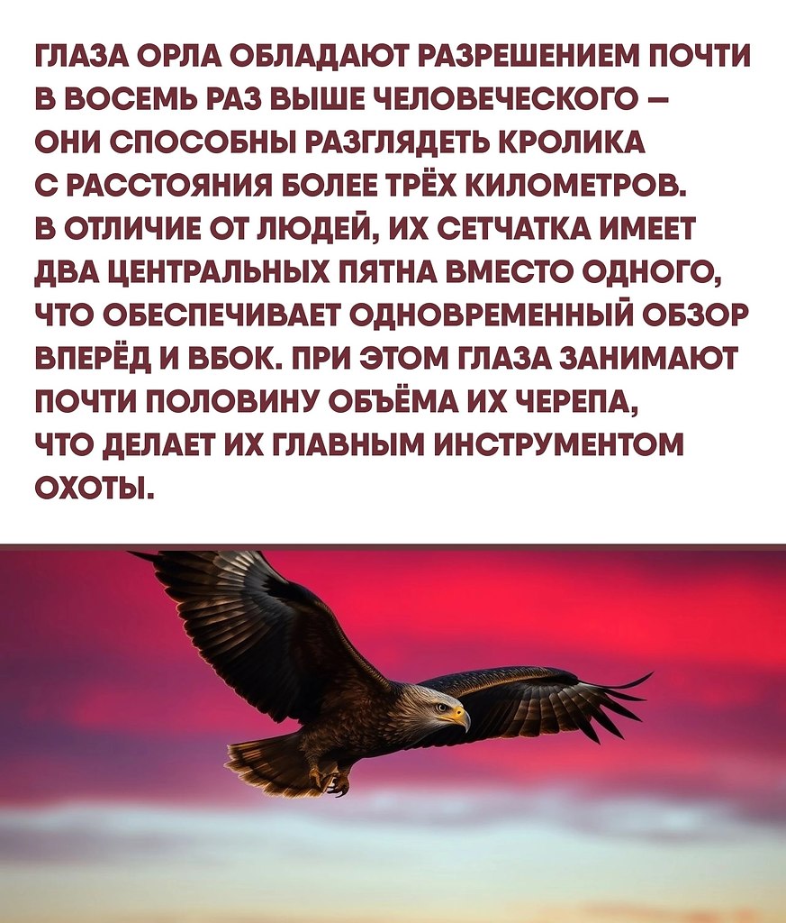  Just Business - 13  2025  12:35 - 2