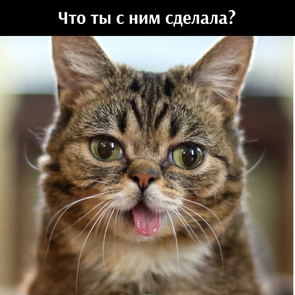       - 24  2025  17:32 - 2