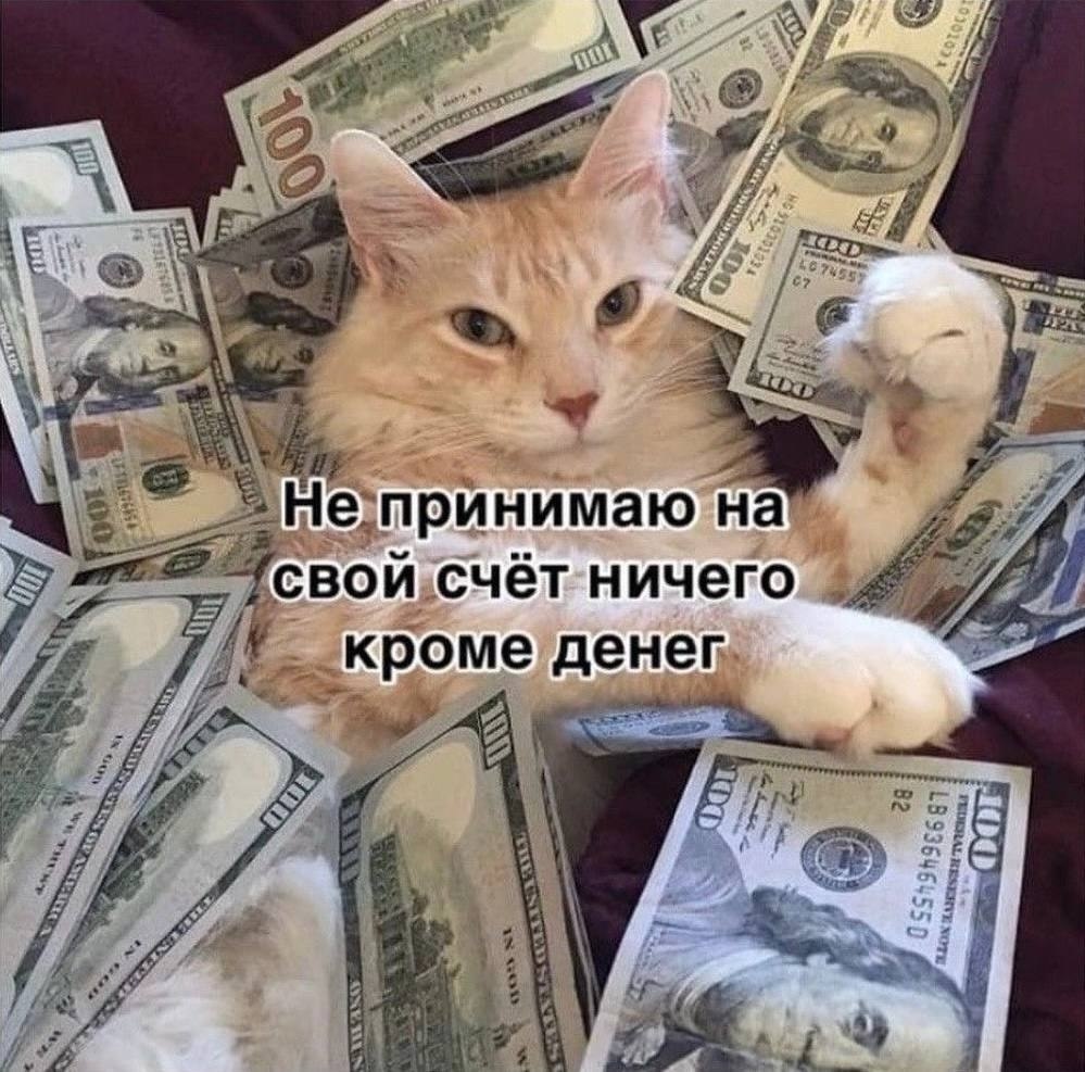 ������ � ����� ���������� ������� �� 23 �������. ����� ������ ������������ ������: ������� � ...
