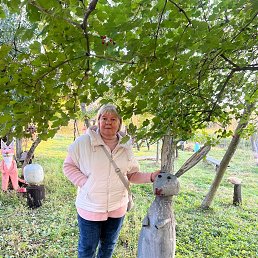 ���� �������, �����, 62 ���� - ��������� 12 ������� 2025