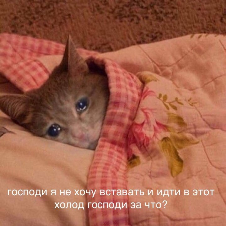    - 27  2024  20:41