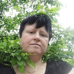 ����, �����, 40 ���