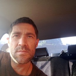 , 41, 