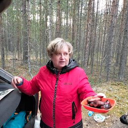 ���� �����, ������������, 57 ��� - ��������� 18 ����� 2024