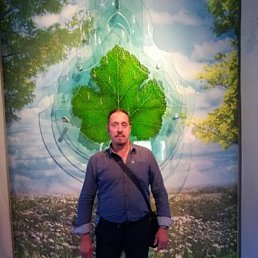 , 65, 