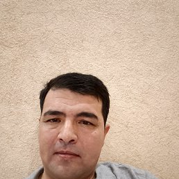 �����, 41 ���, ��������