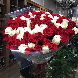 Amir, �����������, 46 ���