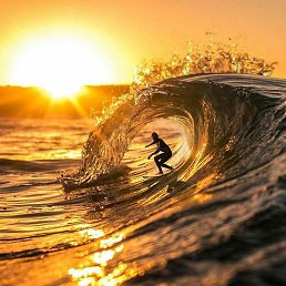 �����������, ������������, 55 ���