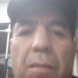 , 57, 