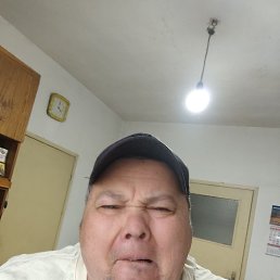, 61, 