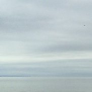 ������, 38 ���, ����