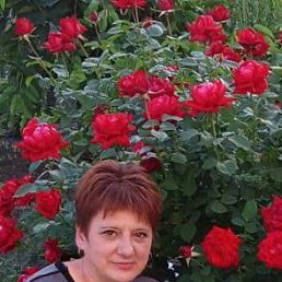 , 49, 