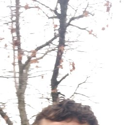 ���� �����, ��������, 33 ���� - ��������� 26 ������ 2026