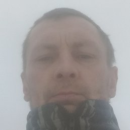 ������, ������, 41 ���