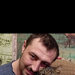 ����, ������, 50 ���