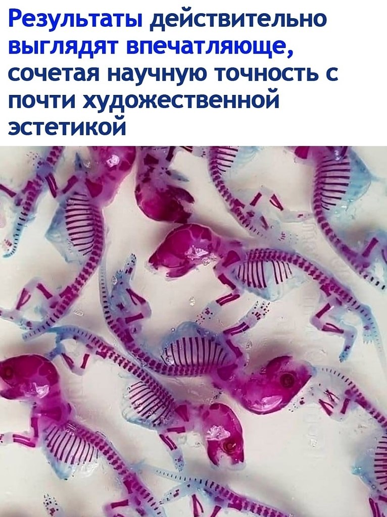 ��a�o���a��� � ��� ����������� ���������� � ���� �����. ��� ������ ����� ��������� � ���������� ... - 3