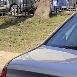 ��������, ���������, 59 ���