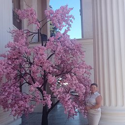 ���� �����, ��������, 59 ��� - ��������� 8 ������� 2024