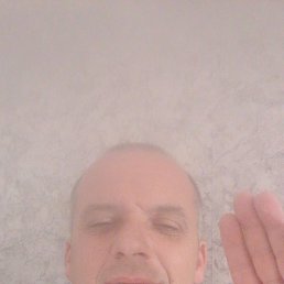 , 45, 