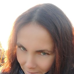 , 41, 