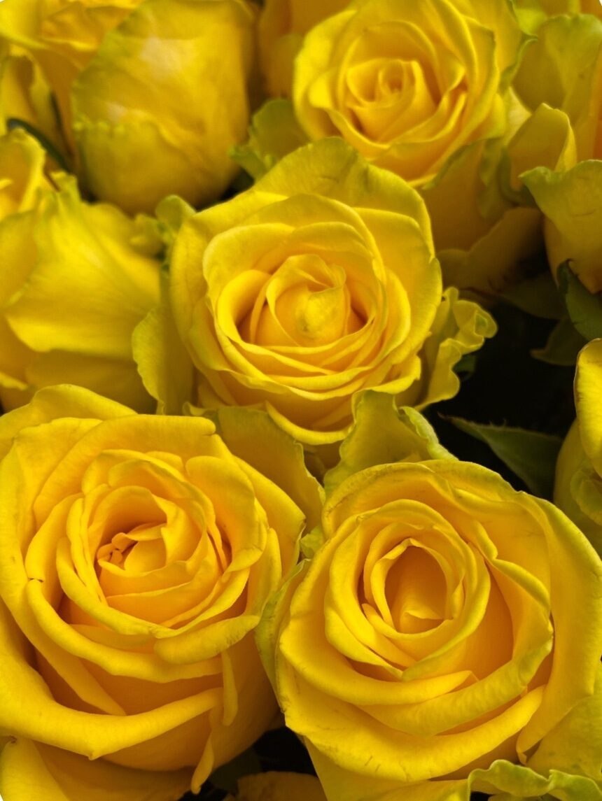  - 6  2023  23:17 - 6