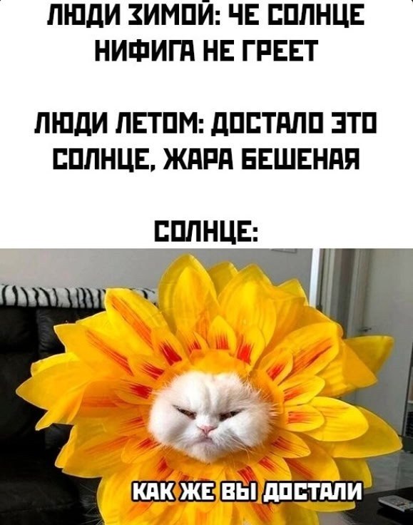   - 15  2025  12:32