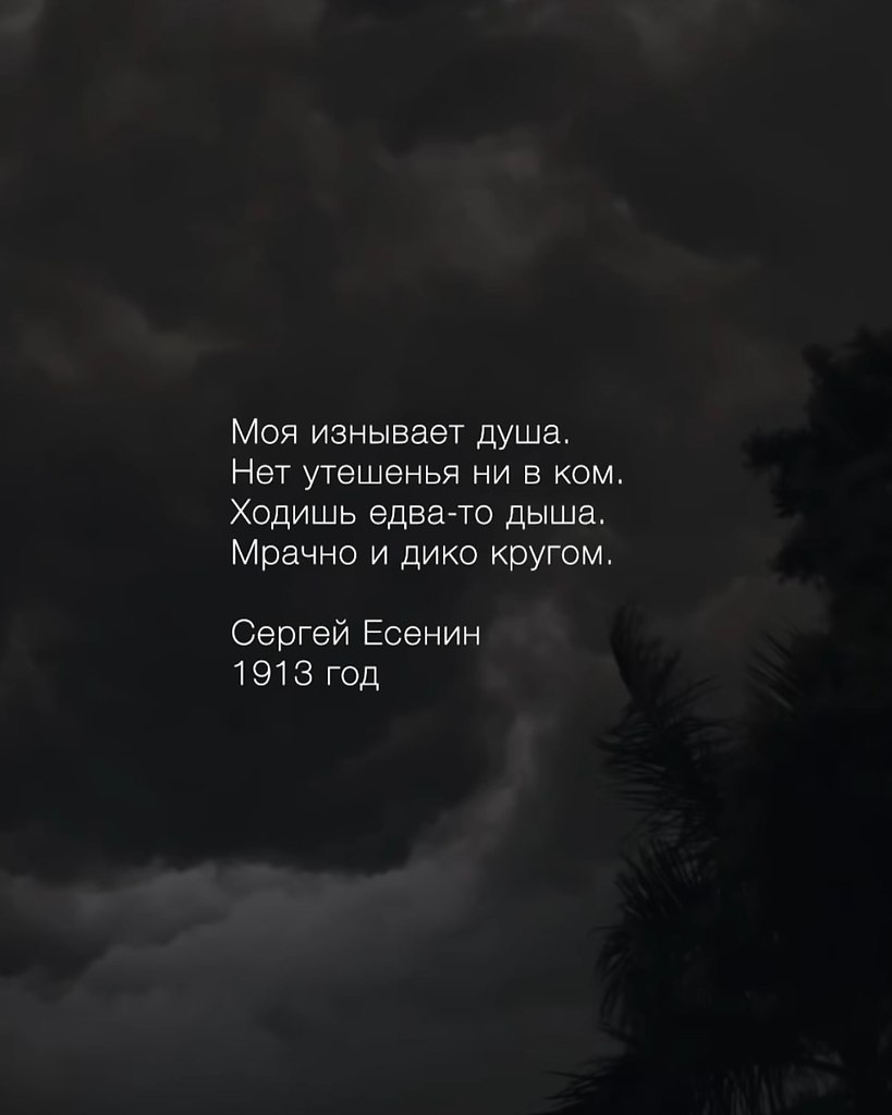   - 22  2025  03:50 - 2