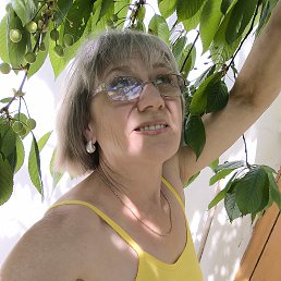 , 60, 