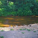 ����� ������. �� ������� ��������