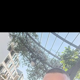  , 38, 