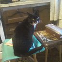 ���� ����, �����-���������, 70 ��� - ��������� 14 ��� 2026 � ������ �����������