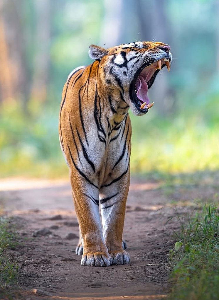 ���� ����� � ���� �� ����� ������ � �������� ����. ��� ���� ��������� 1000 PSI, ���� ����������, ... - 3