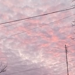 Arturiche, �����������, 42 ����