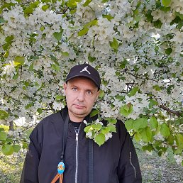 , 41, 
