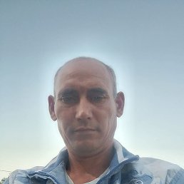 ˸��, �������, 43 ����