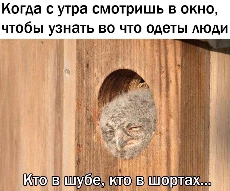   - 1  2025  09:03