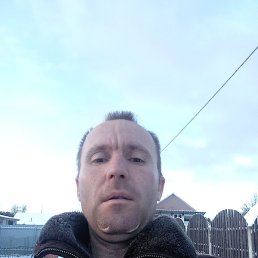 ����, ������, 37 ���