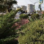 ������, , ������