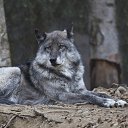 ���� �����, ��������, 78 ��� - ��������� 20 ������� 2025 � ������ ���� ����������