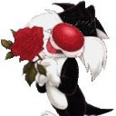 ���� ����, ������, 57 ��� - ��������� 9 ������ 2026