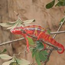 ��� ��, ��������... �� ������� ���� ����������